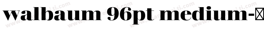 walbaum 96pt medium字体转换